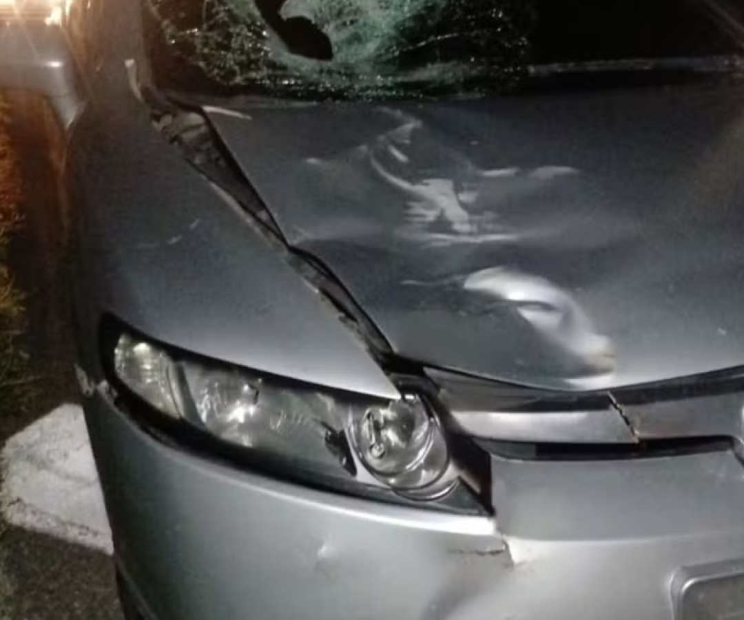 Um homem em situação de rua morreu após ser atropelado por um carro na noite de quarta-feira (10), no km 330 da Rodovia...