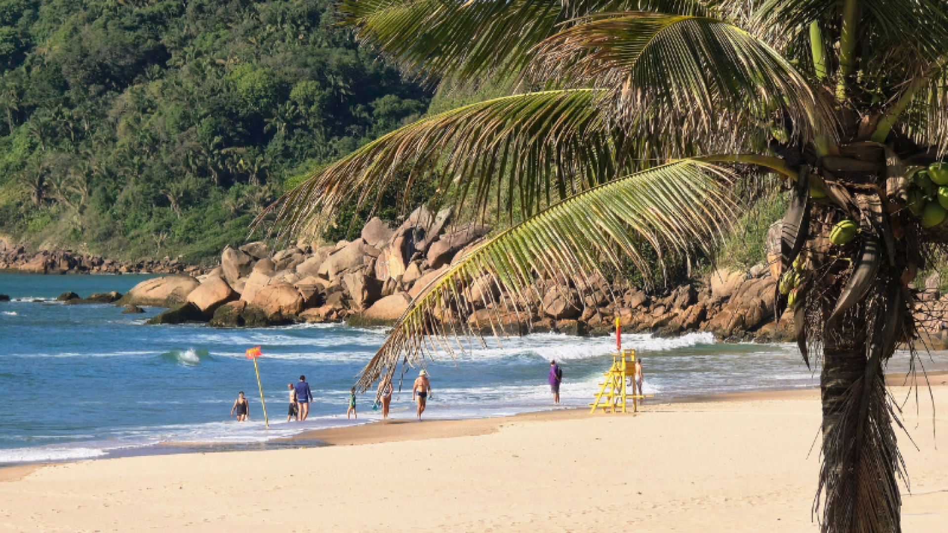 Guarujá celebrou, na manhã desta quinta-feira (11), o hasteamento oficial da Bandeira Azul na Praia do Tombo, marcando a 16ª conquista...