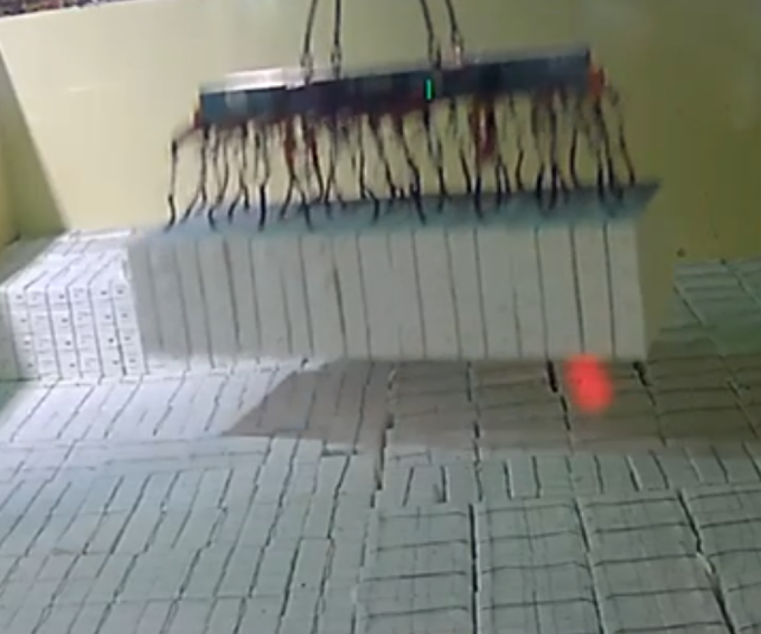 Uma carga de celulose caiu no porão de um navio durante uma operação de embarque no Porto de Santos, litoral de São Paulo...