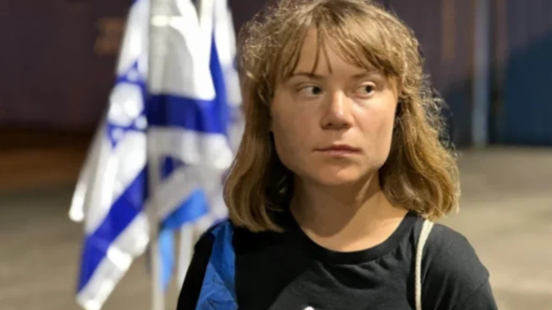 O governo de Israel deportou nesta segunda-feira (6) a ativista sueca Greta Thunberg e outros 170 ativistas que estavam detidos após...