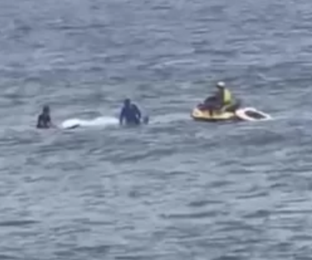 Um piloto de paramotor de 49 anos foi resgatado após cair no mar próximo à Ilha Porchat, em São Vicente, no litoral de São Paulo...