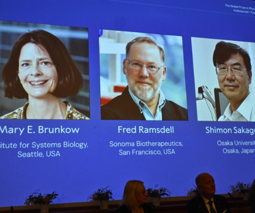Os cientistas Mary E. Brunkow e Fred Ramsdell, dos Estados Unidos, e Shimon Sakaguchi, do Japão, foram agraciados com o Prêmio Nobel...