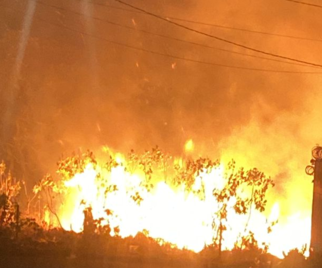 Incêndio de grandes proporções atinge área de vegetação no Jardim Europa