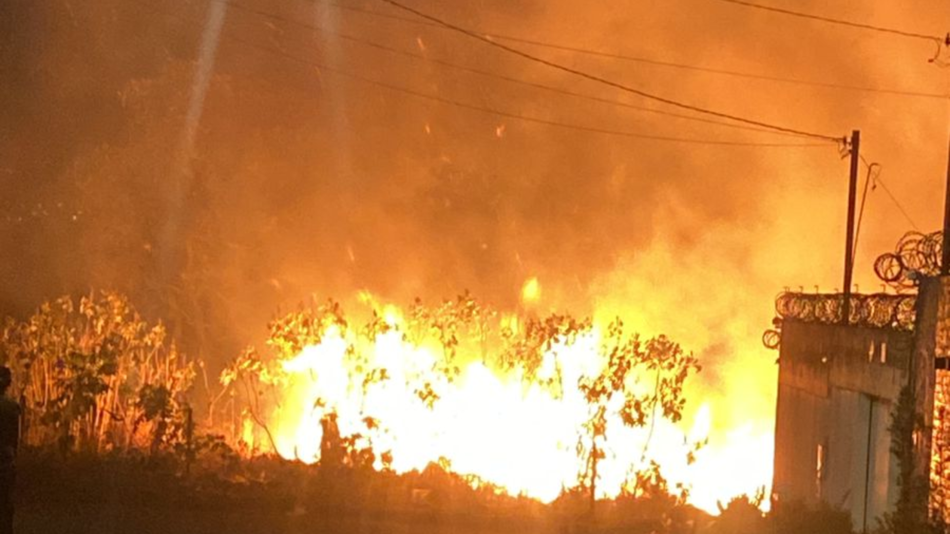 Incêndio de grandes proporções atinge área de vegetação no Jardim Europa