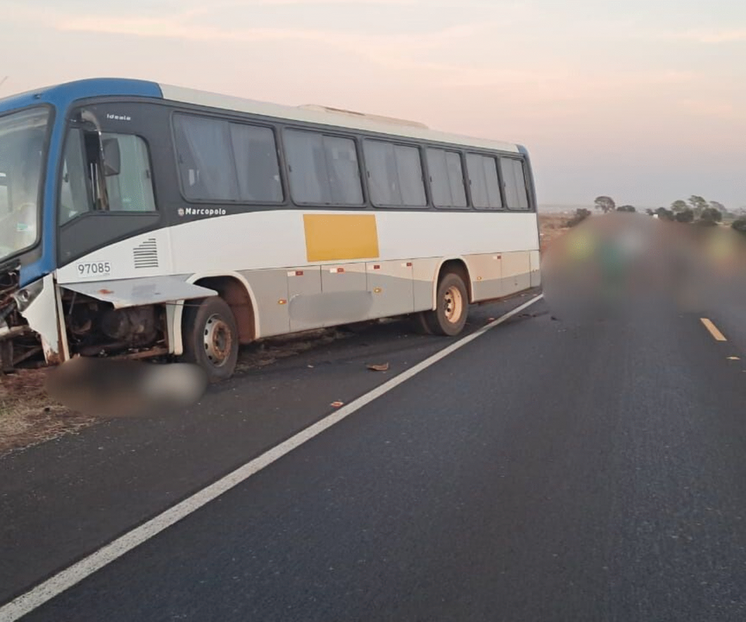 Duas pessoas morreram após uma batida entre motocicleta e ônibus na BR-365, em Santa Vitória