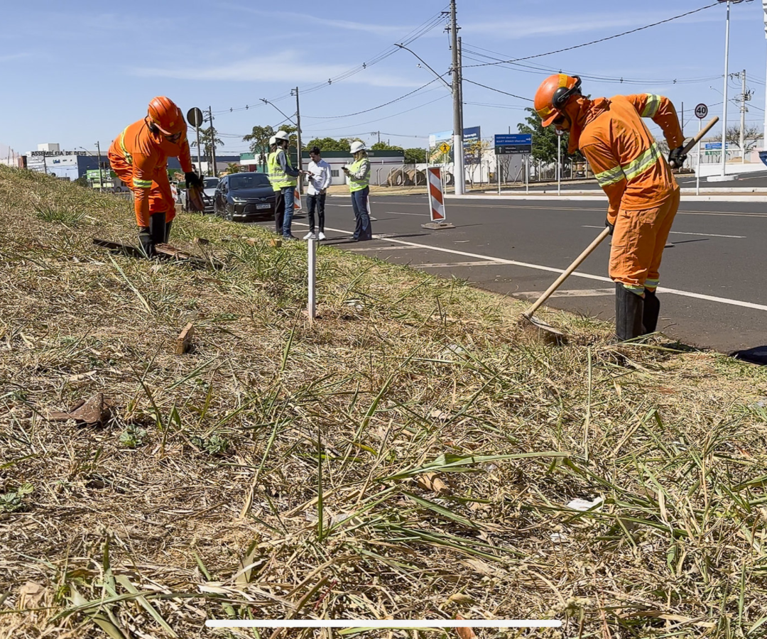 Após cobranças da prefeita Elisa, Ecovias inicia construção nos km 171 e 175