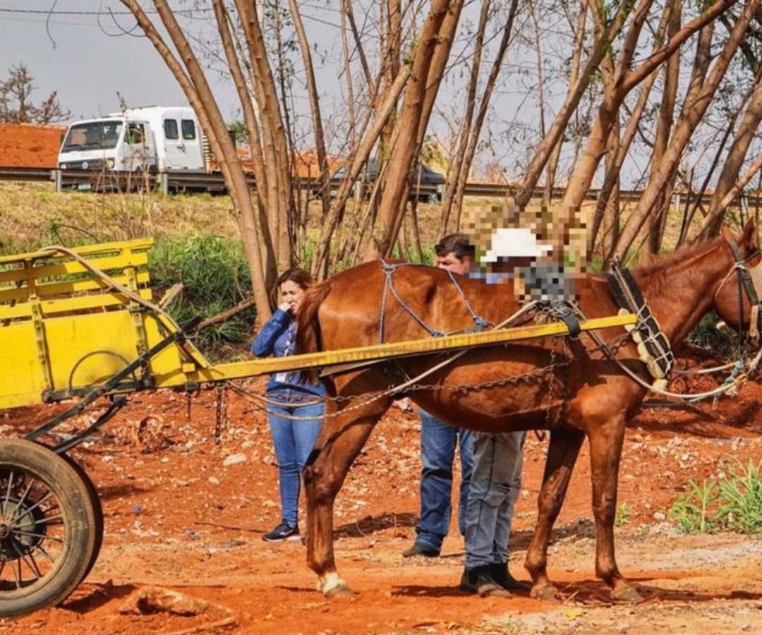 Prefeita flagra descarte irregular em Uberaba e cobra atitude imediata de carroceiro