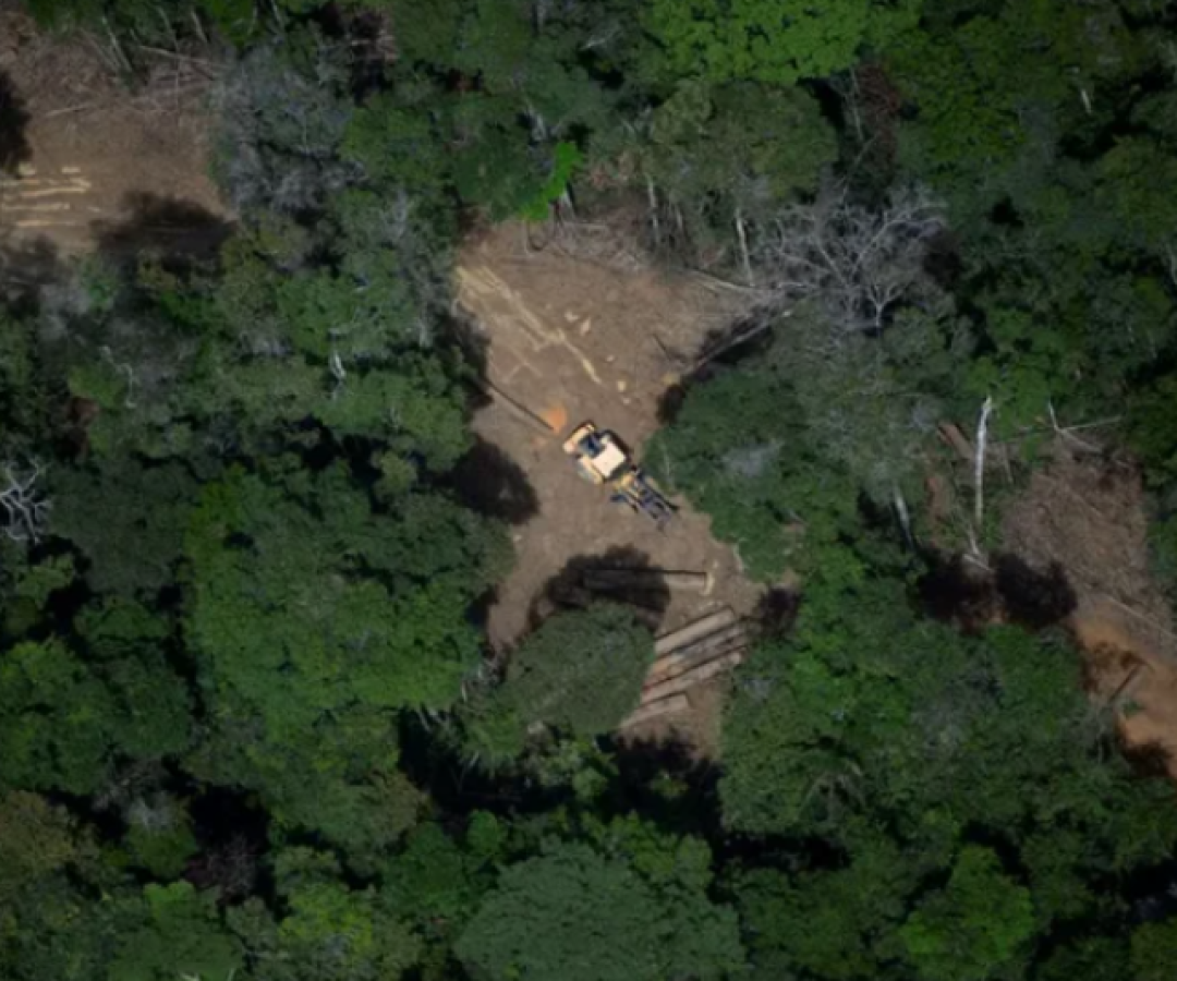 Brasil lidera proposta para precificação global de carbono e criação de fundo para conservação na COP30