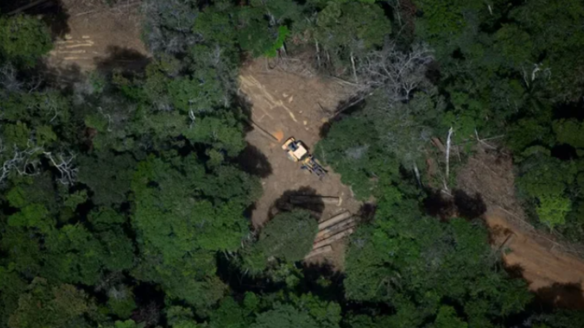 Brasil lidera proposta para precificação global de carbono e criação de fundo para conservação na COP30
