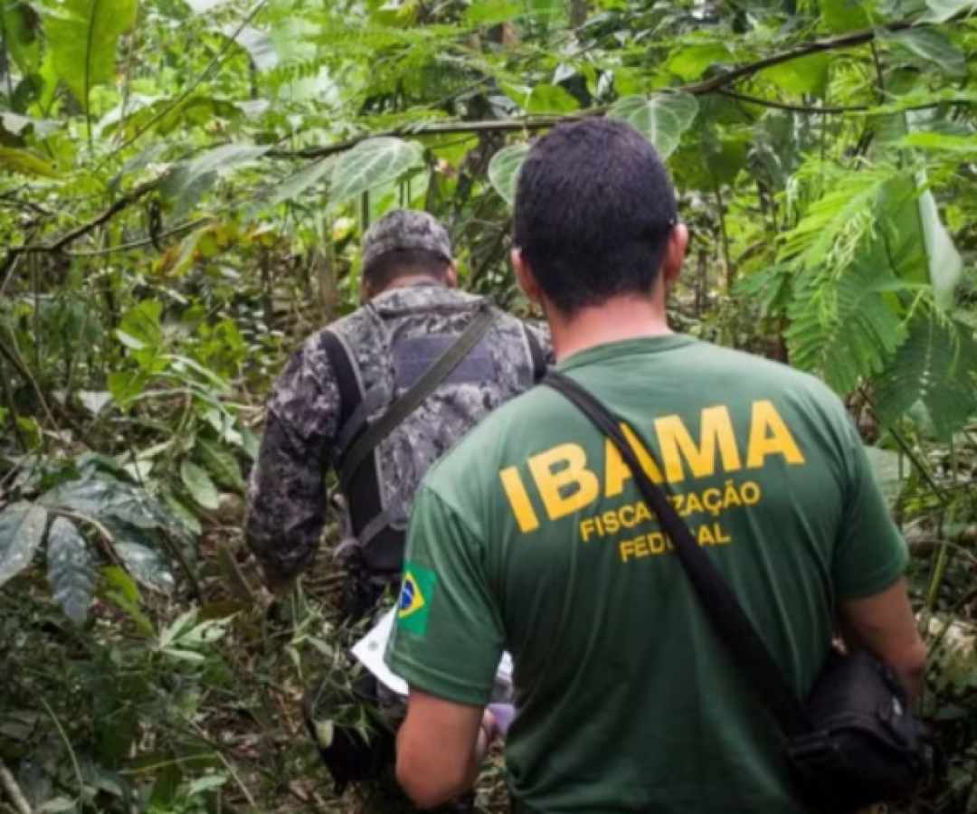 Governo autoriza nomeação de 460 servidores para reforçar o Ibama