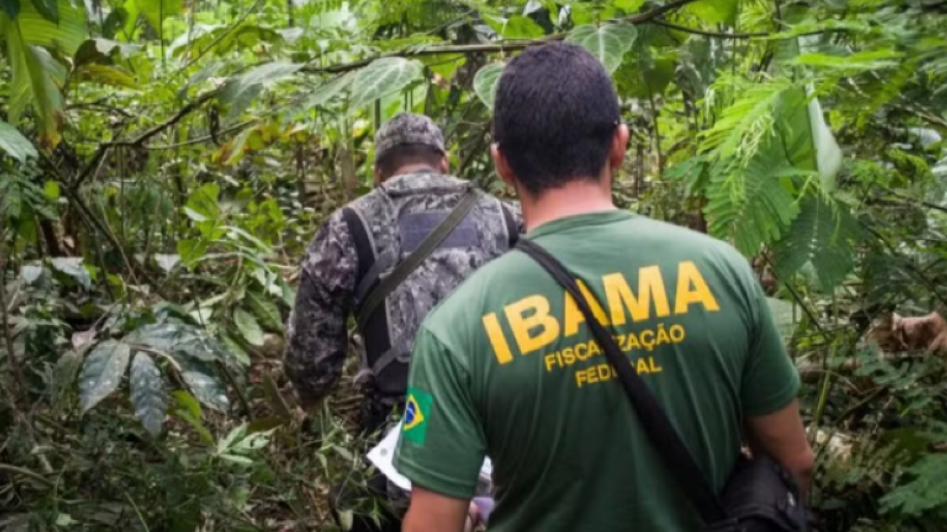 Governo autoriza nomeação de 460 servidores para reforçar o Ibama