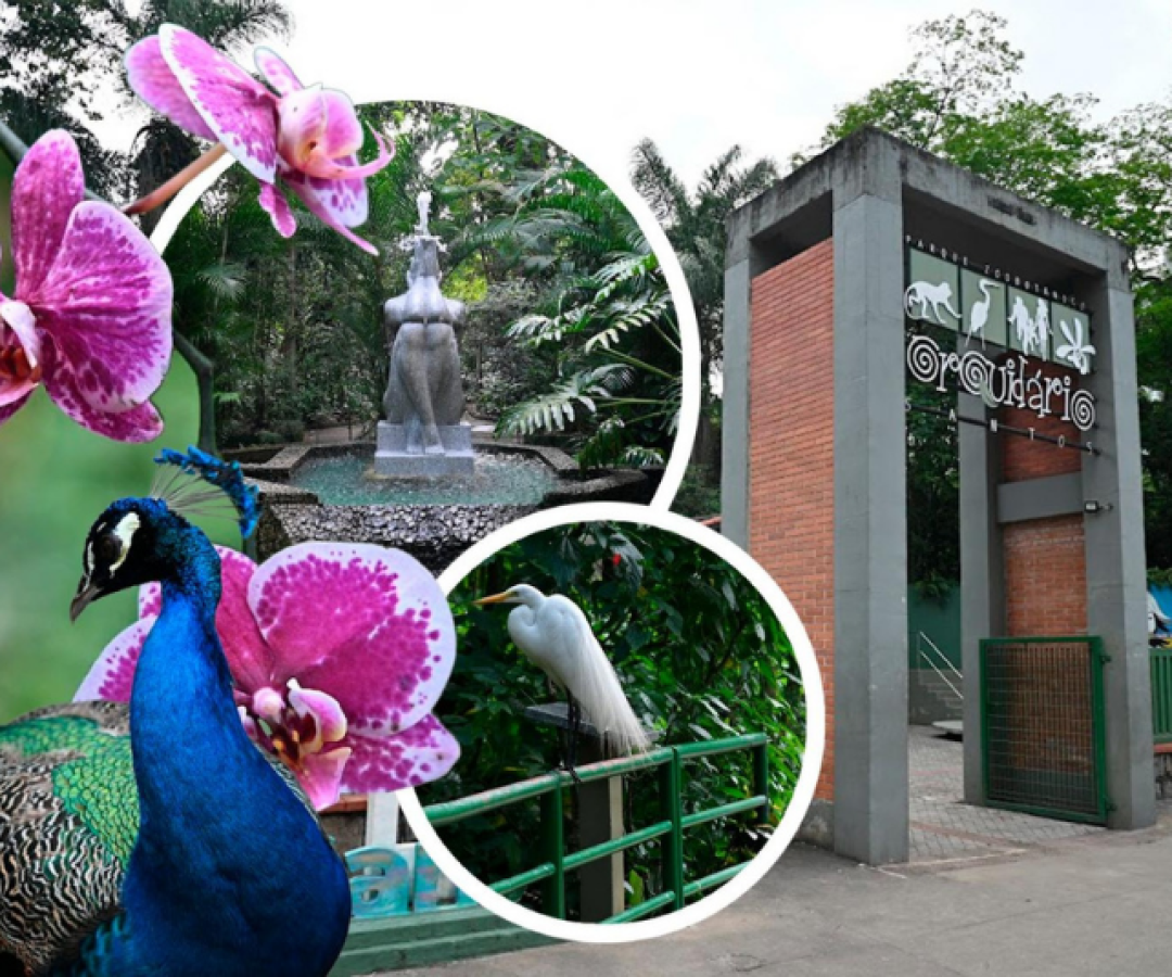 Orquidário de Santos comemora 80 anos com festa neste sábado (08)