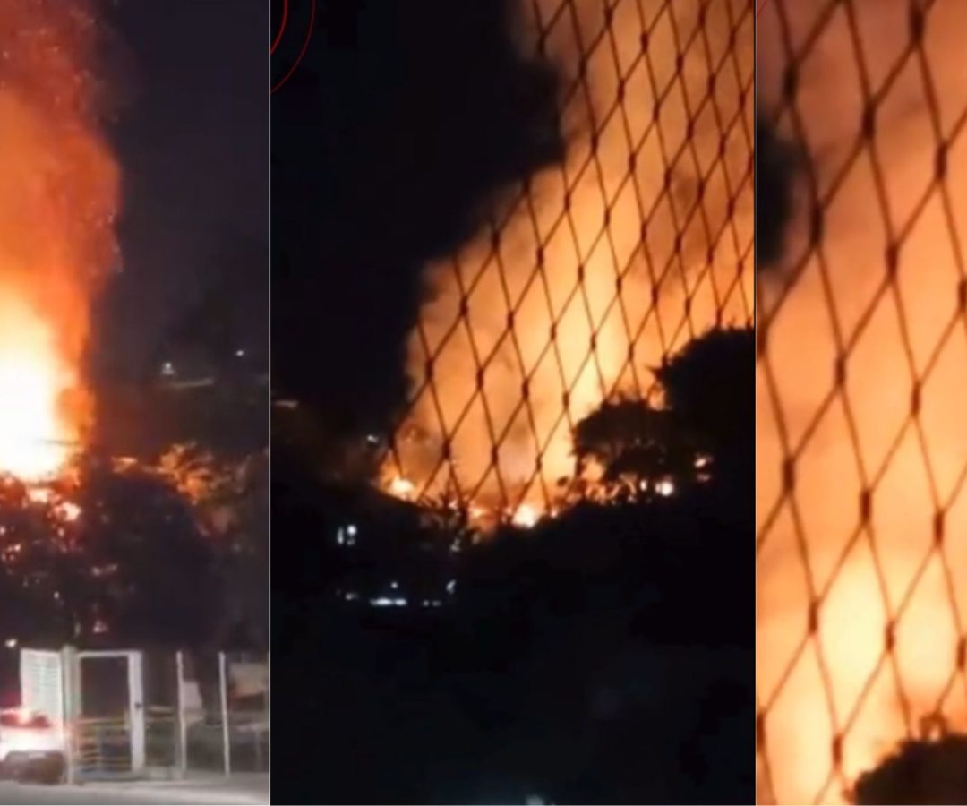 Incêndio atinge bambuzal em Juiz de Fora e mobiliza bombeiros
