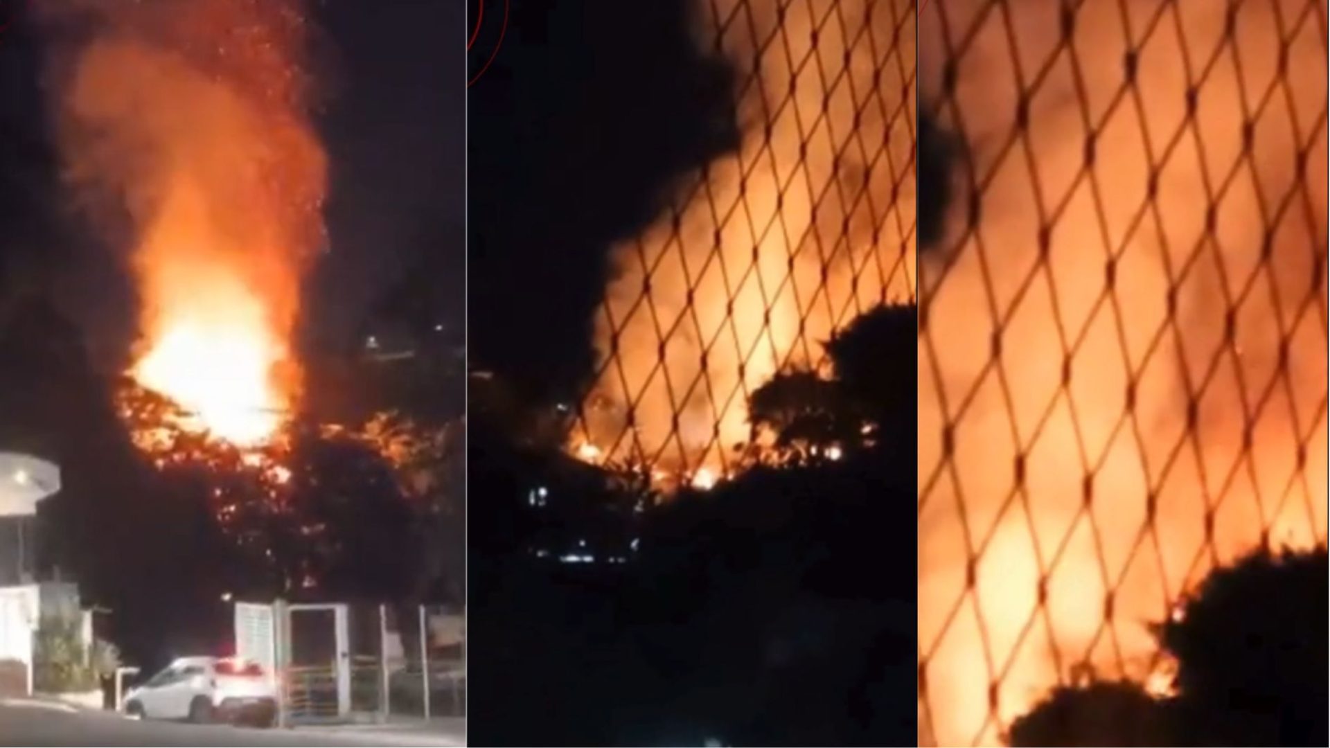 Incêndio atinge bambuzal em Juiz de Fora e mobiliza bombeiros