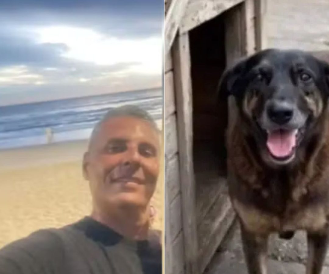 Indiciado por suposta coação no caso Cão Orelha morre em Florianópolis