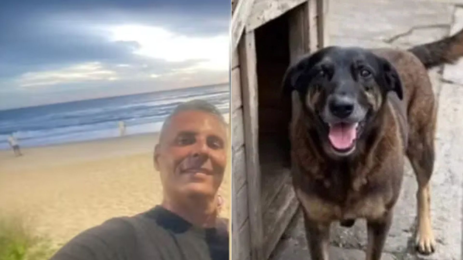 Indiciado por suposta coação no caso Cão Orelha morre em Florianópolis