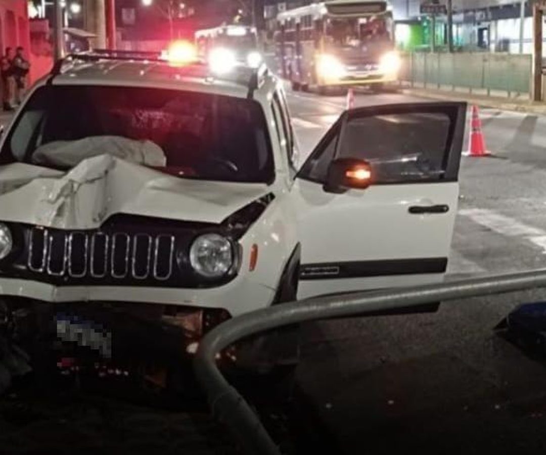 Impacto danificou o veículo e a estrutura do semáforo; motorista tentou desviar de animal na pista (foto: divulgação/ redes sociais)