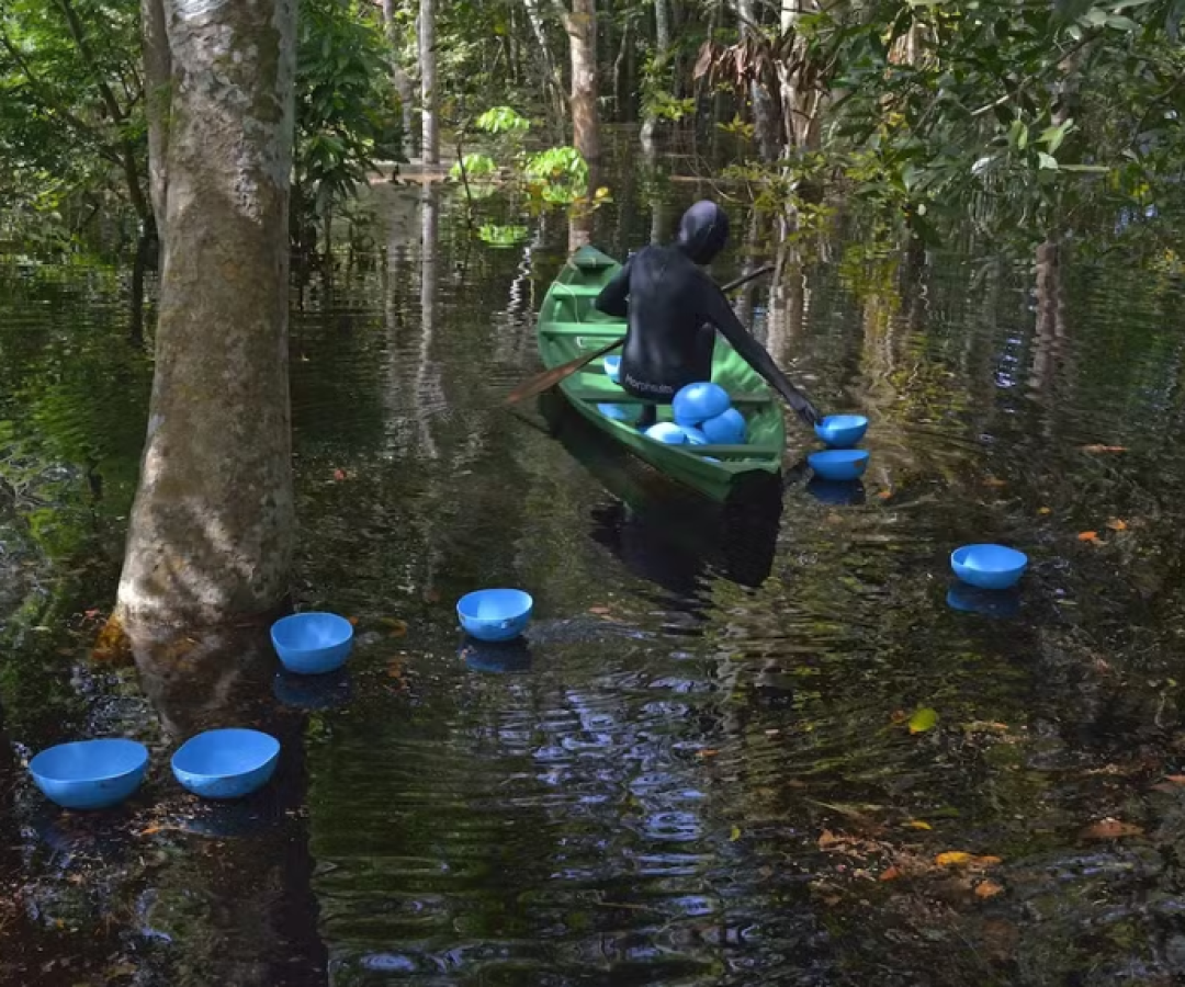 Arte contemporânea ocupa a Pinacoteca Benedicto Calixto com cores, símbolos e provocações