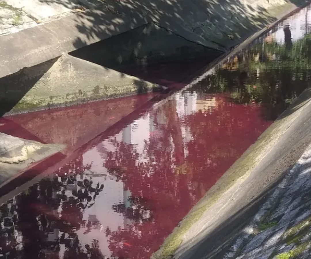 Justiça torna Carrefour réu por crime ambiental após óleo em canal de Santos