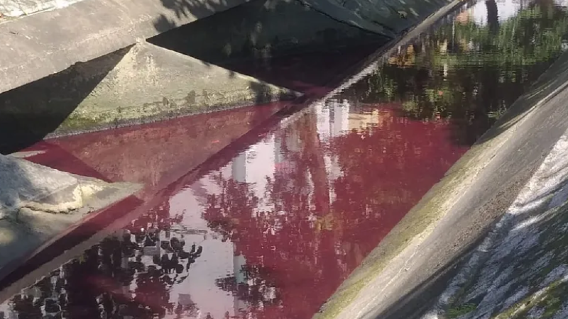 Justiça torna Carrefour réu por crime ambiental após óleo em canal de Santos