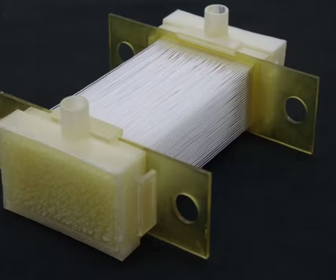 Frango de laboratório, japoneses avançam na corrida por carne artificial