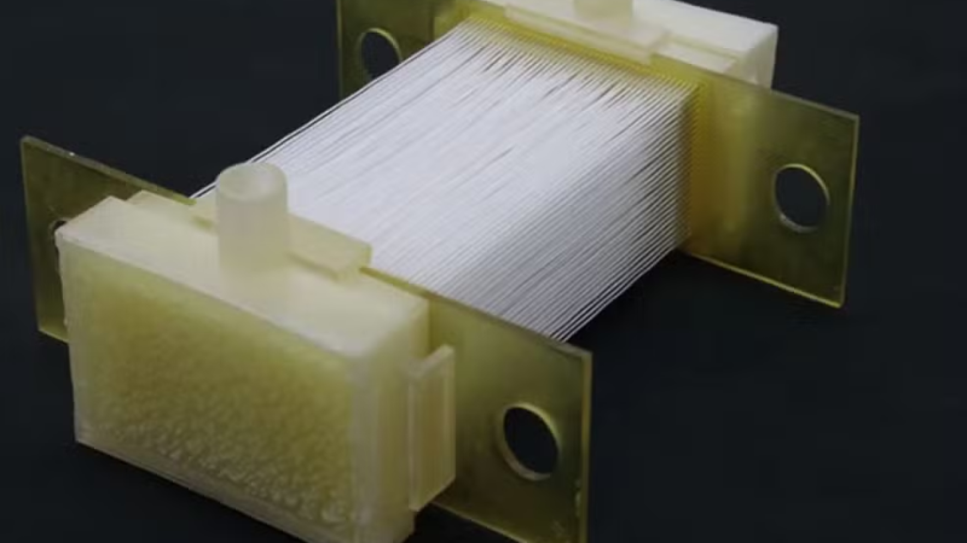 Frango de laboratório, japoneses avançam na corrida por carne artificial