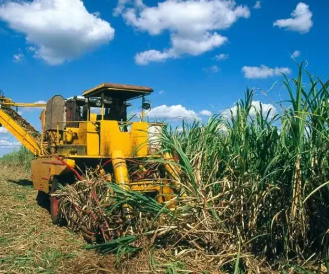 Eike Batista tenta voltar ao mercado com “supercana”, mas enfrenta resistência