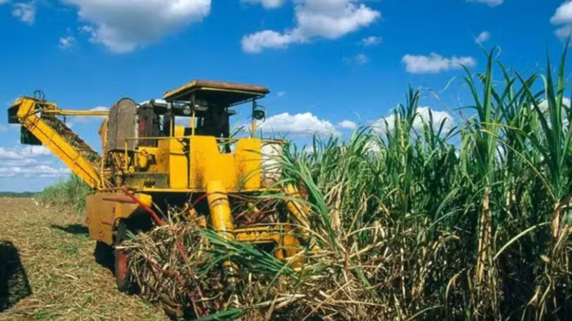 Eike Batista tenta voltar ao mercado com “supercana”, mas enfrenta resistência