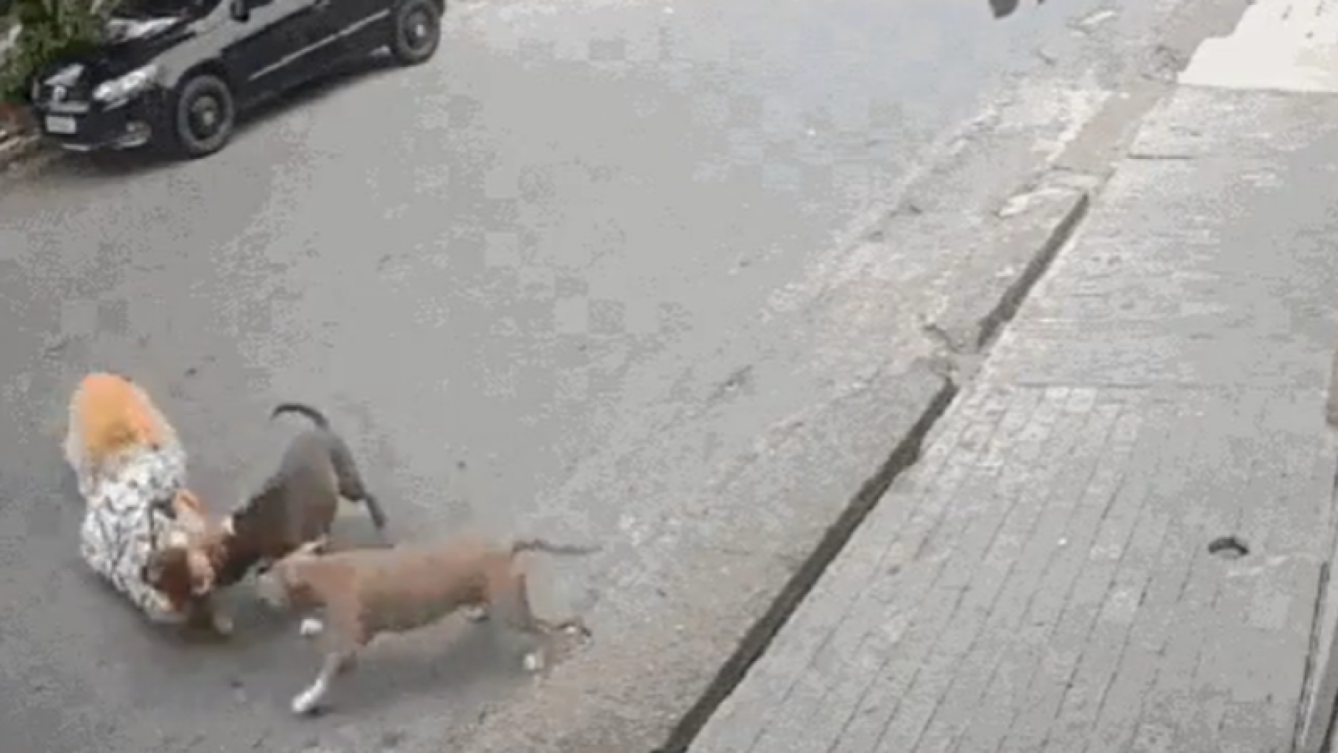 Grávida cai ao tentar afastar pitbull em Santos e teme pela vida da bebê