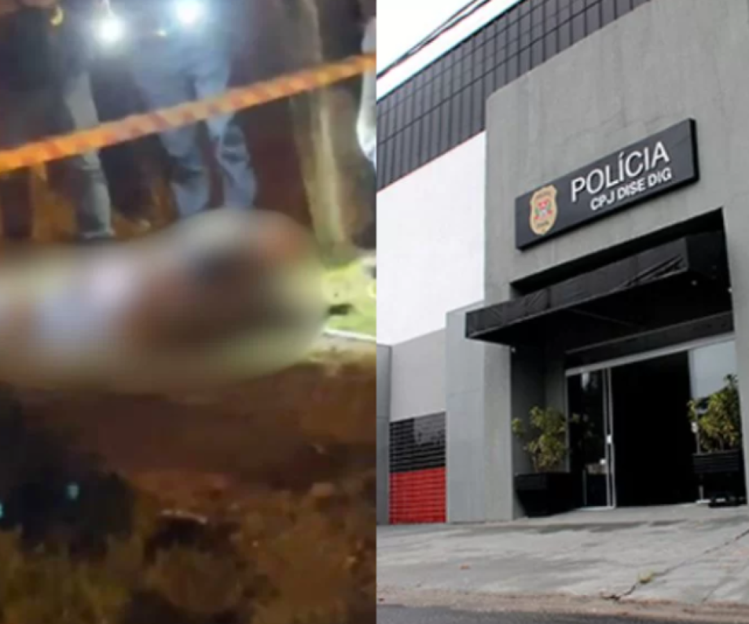 Reprodução/Marcelo Ricky e Divulgação