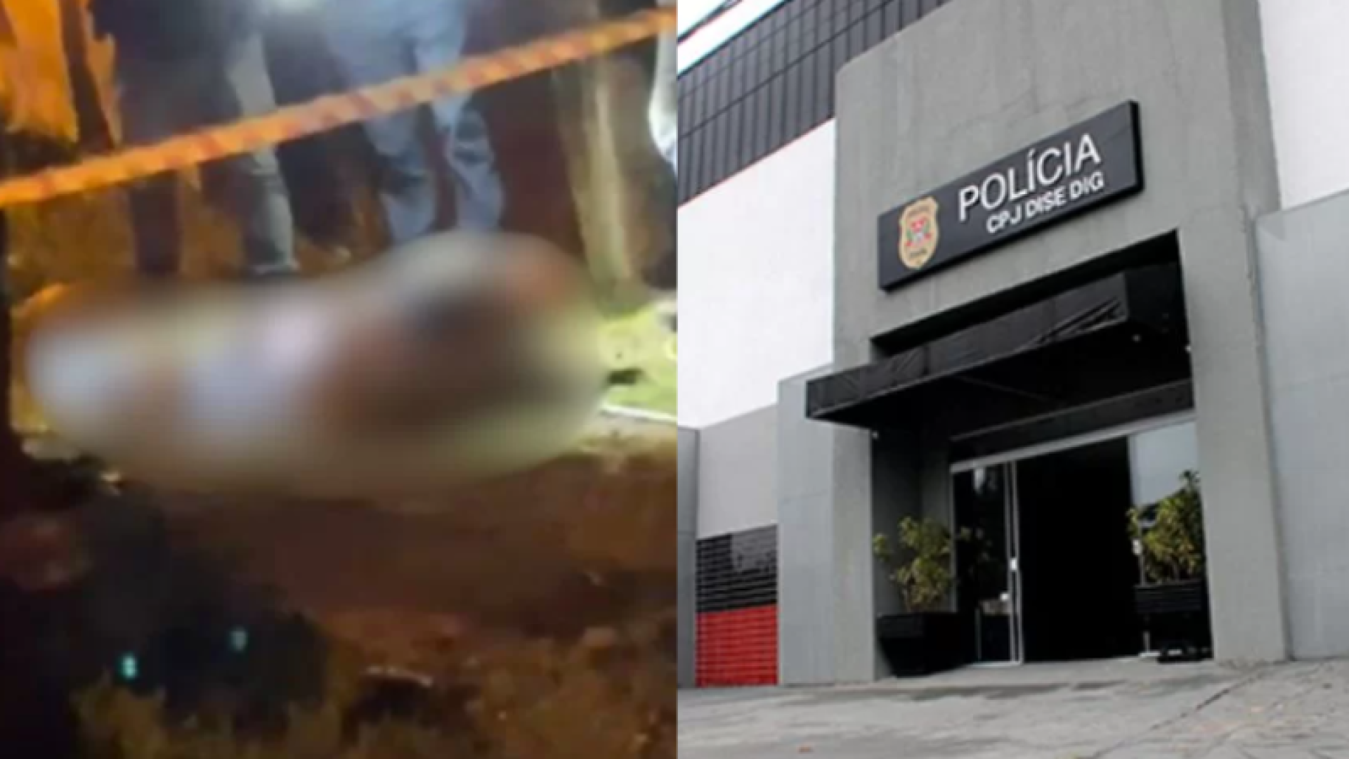 Reprodução/Marcelo Ricky e Divulgação