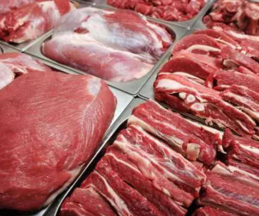 Modelo Foto Portal BX (14)