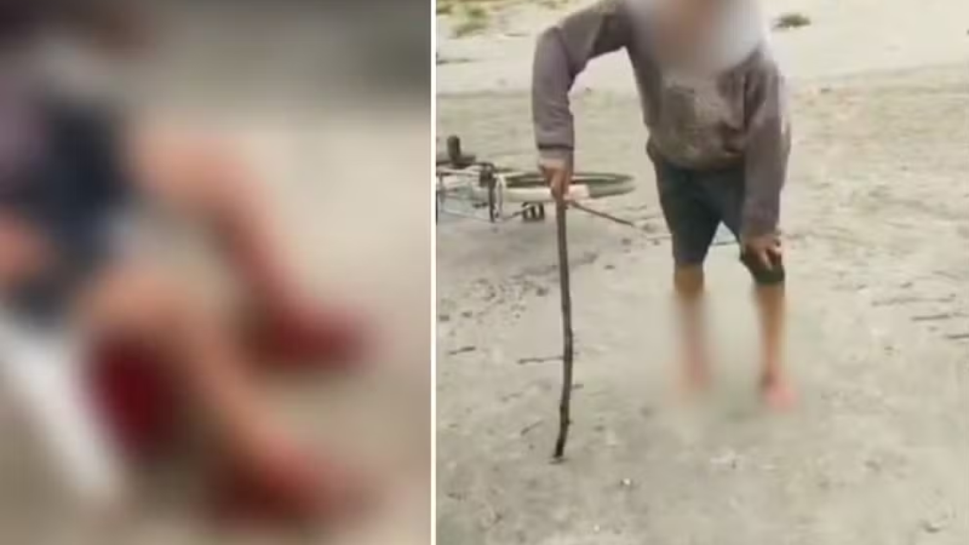 Um homem de 58 anos foi atacado por três cachorros na Praia do Perequê, em Guarujá, no litoral de São Paulo, na última sexta-feira (15).