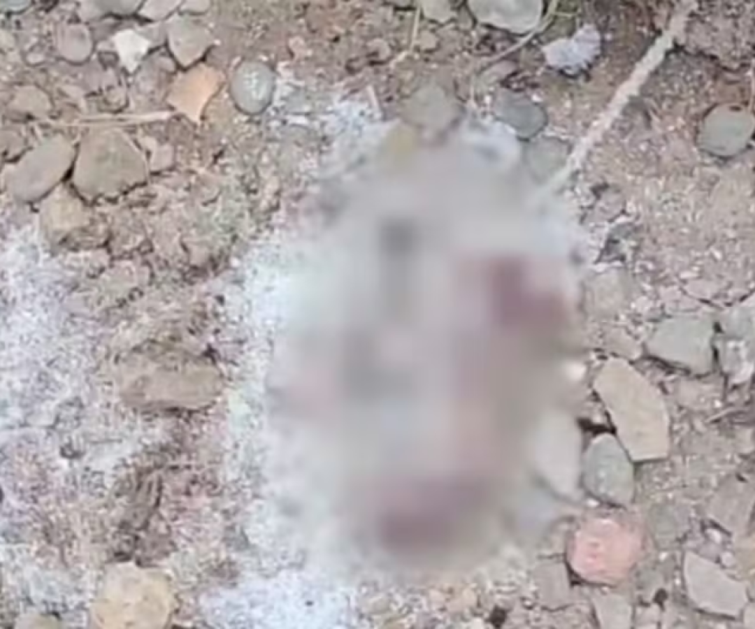 Um recém-nascido foi encontrado morto às margens do Rio Casqueiro, em Cubatão, na tarde de quarta-feira (20).