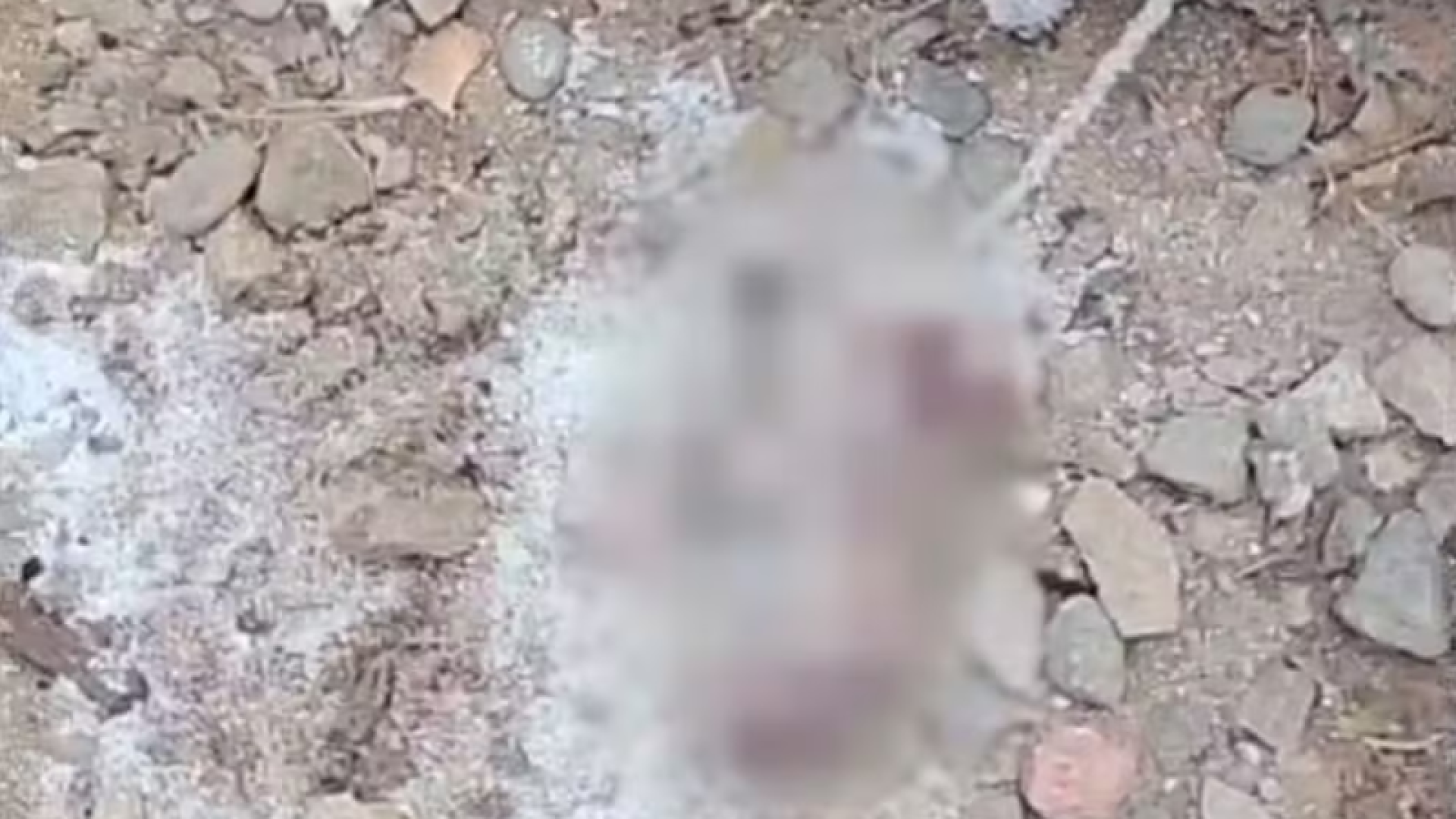 Um recém-nascido foi encontrado morto às margens do Rio Casqueiro, em Cubatão, na tarde de quarta-feira (20).