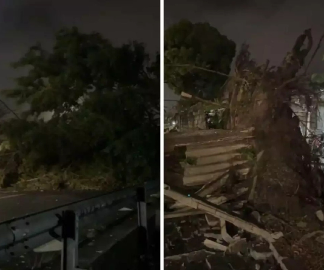 Uma forte ventania atingiu a Baixada Santista, no litoral de São Paulo, neste sábado (23), provocando diversos estragos nas cidades...