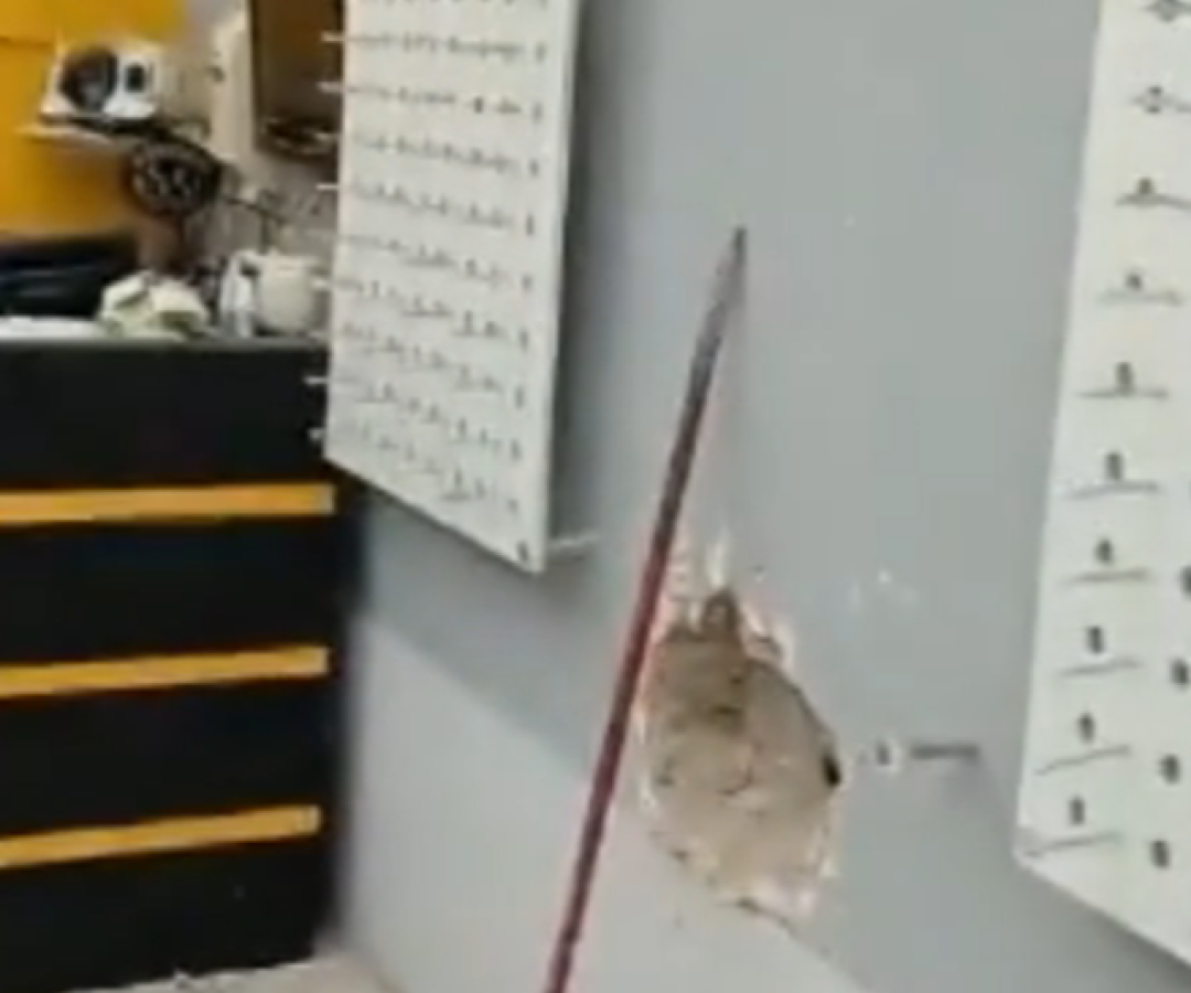 Um homem de 24 anos foi preso na madrugada desta quinta-feira (28) após furtar mais de 800 óculos de uma ótica no bairro Aparecida...