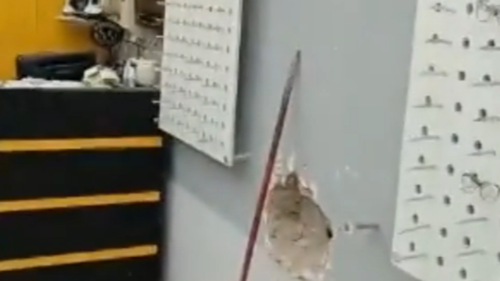 Um homem de 24 anos foi preso na madrugada desta quinta-feira (28) após furtar mais de 800 óculos de uma ótica no bairro Aparecida...