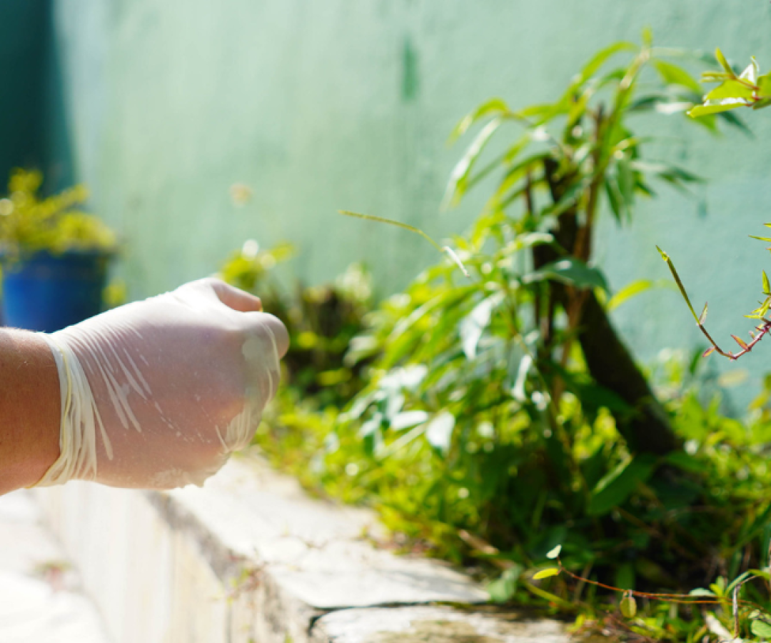 A Prefeitura de Mongaguá, em parceria com o Conselho Regional de Corretores de Imóveis do Estado de São Paulo (Creci-SP)...