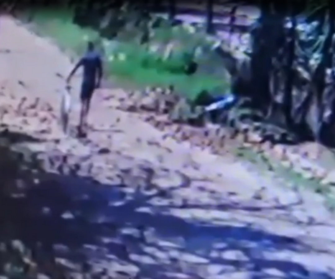 Uma mulher foi vítima de importunação sexual enquanto passeava com seus cães no bairro Jardim Virgínia, em Guarujá...