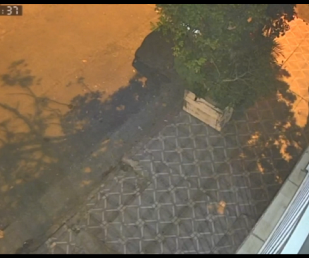 Uma jovem de 27 anos foi baleada nas costas por outra mulher na noite de quarta-feira (3), em Santos, no litoral de São Paulo.