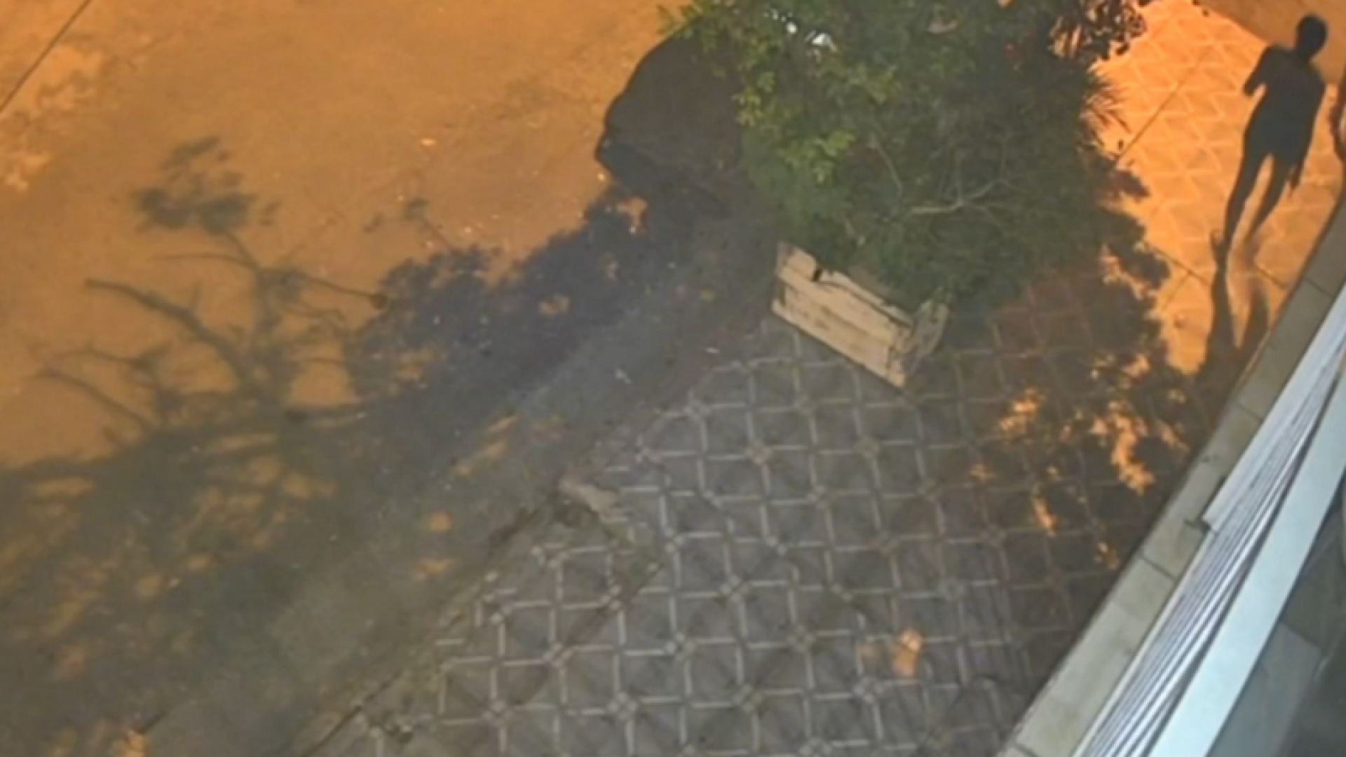 Uma jovem de 27 anos foi baleada nas costas por outra mulher na noite de quarta-feira (3), em Santos, no litoral de São Paulo.