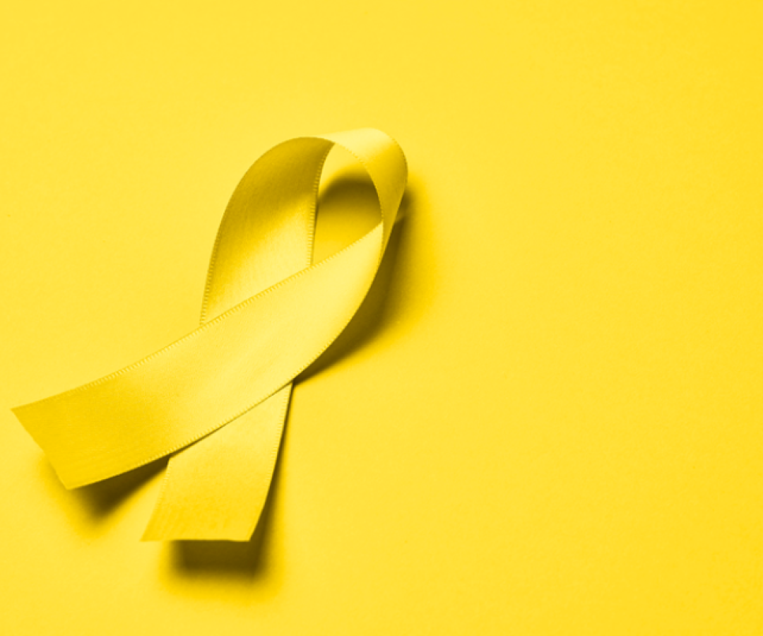 A Secretaria de Saúde Pública (Sesap) de Praia Grande realiza ao longo de setembro uma série de capacitações voltadas aos servidores...