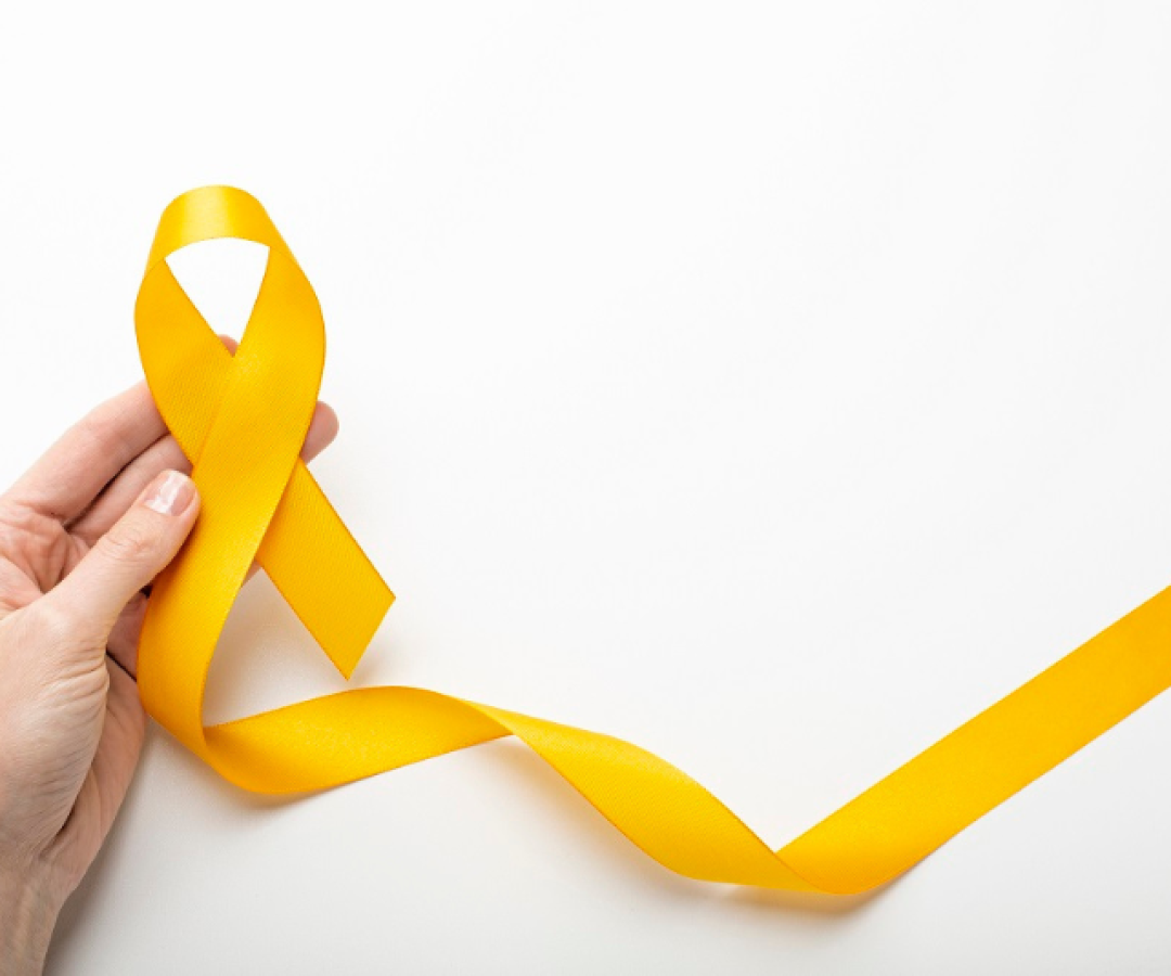 A Academia da Saúde Maracanã, em Praia Grande, vai promover na próxima quarta-feira (10) uma caminhada de conscientização sobre...