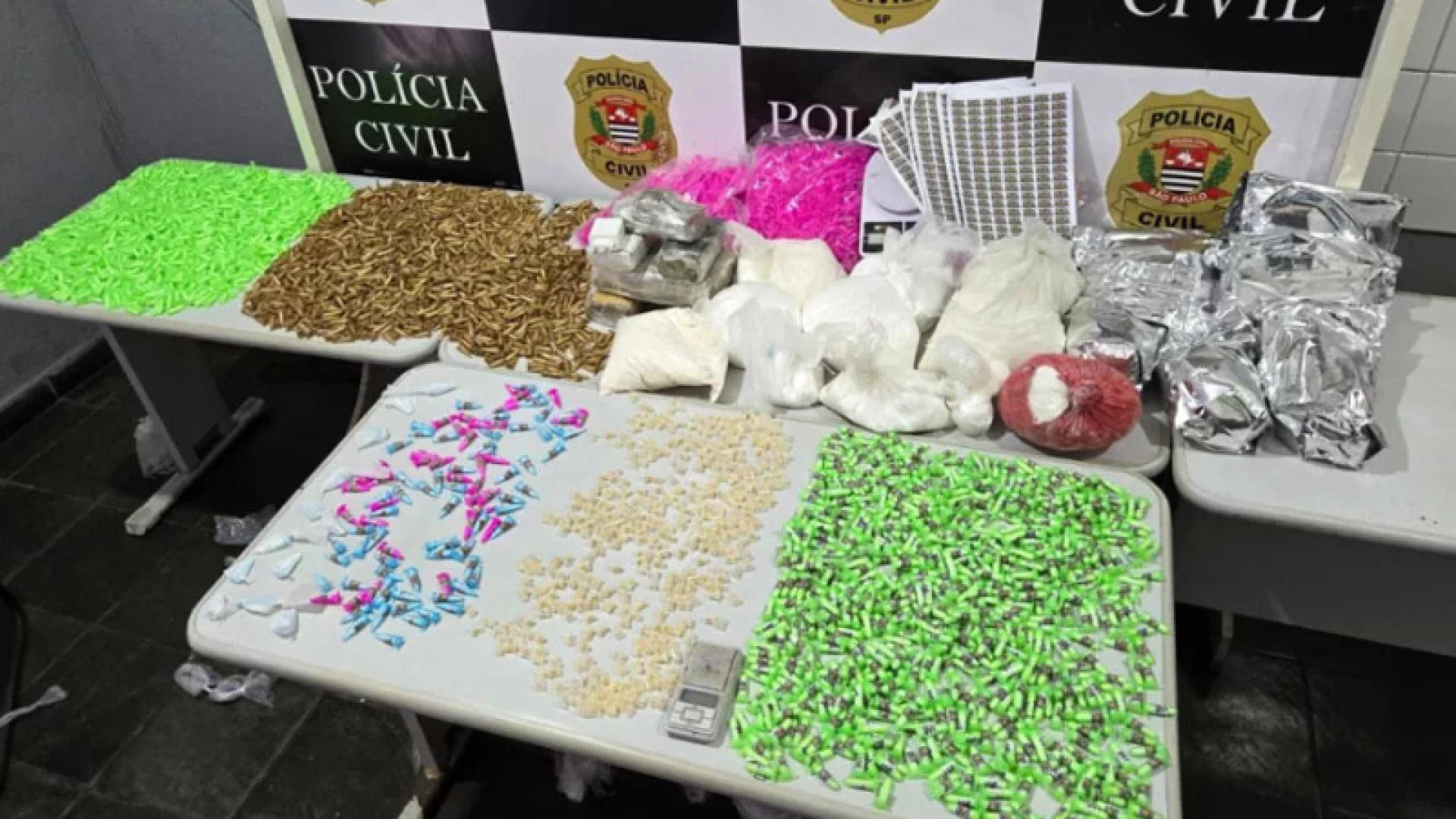 Policiais civis da Delegacia Sede de Guarujá, no litoral de São Paulo, localizaram na última segunda-feira (8) um barraco utilizado como...