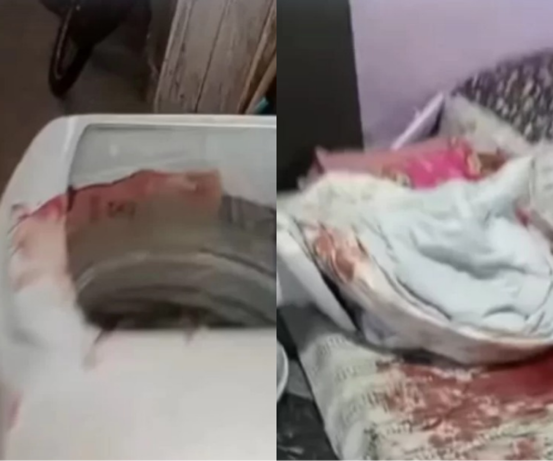 Reprodução/Redes sociais