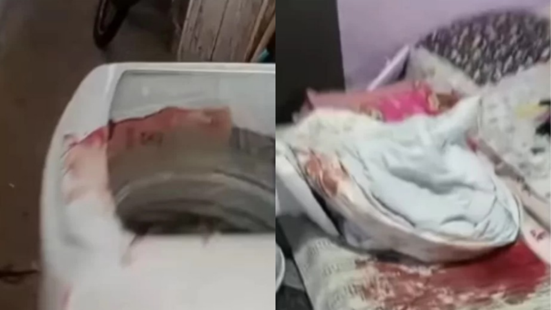 Reprodução/Redes sociais