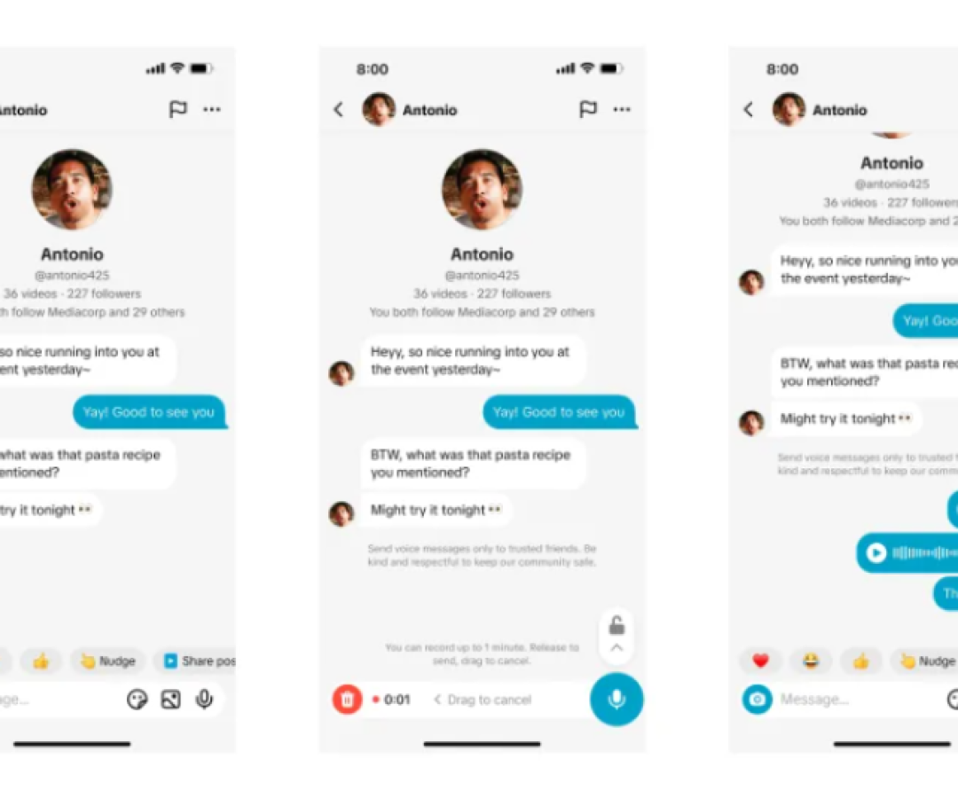Créditos da imagem: TikTok