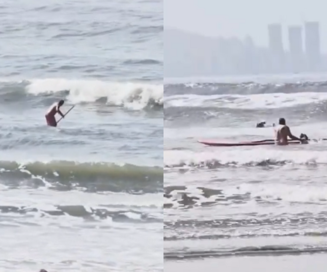 Um homem foi filmado agredindo seu cachorro da raça pit bull em cima de uma prancha de stand up paddle, no mar de São Vicente...