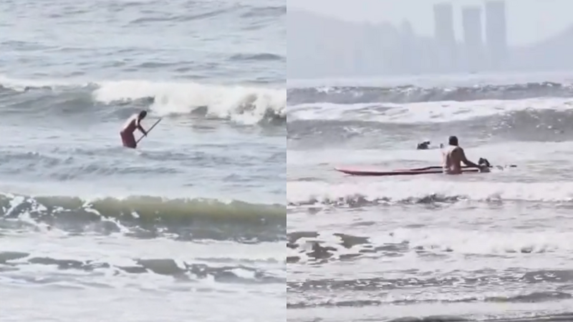 Um homem foi filmado agredindo seu cachorro da raça pit bull em cima de uma prancha de stand up paddle, no mar de São Vicente...